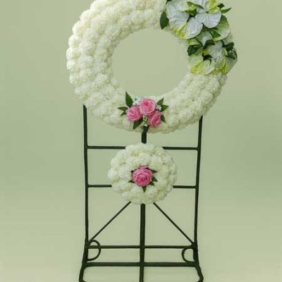 تاج خیریه محک شیراز