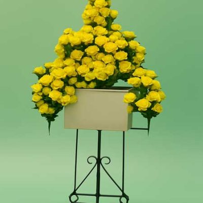 تاج گل ایتام و خیریه سما در شیراز